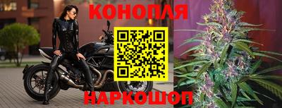 ПСИЛОЦИБИНОВЫЕ ГРИБЫ Донской