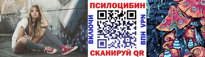 мега   Нижний Тагил  Псилоцибиновые грибы мухоморы 