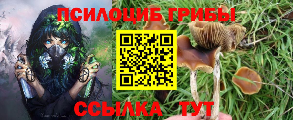 Нижний Тагил  Псилоцибиновые грибы мицелий  Вход с VPN 